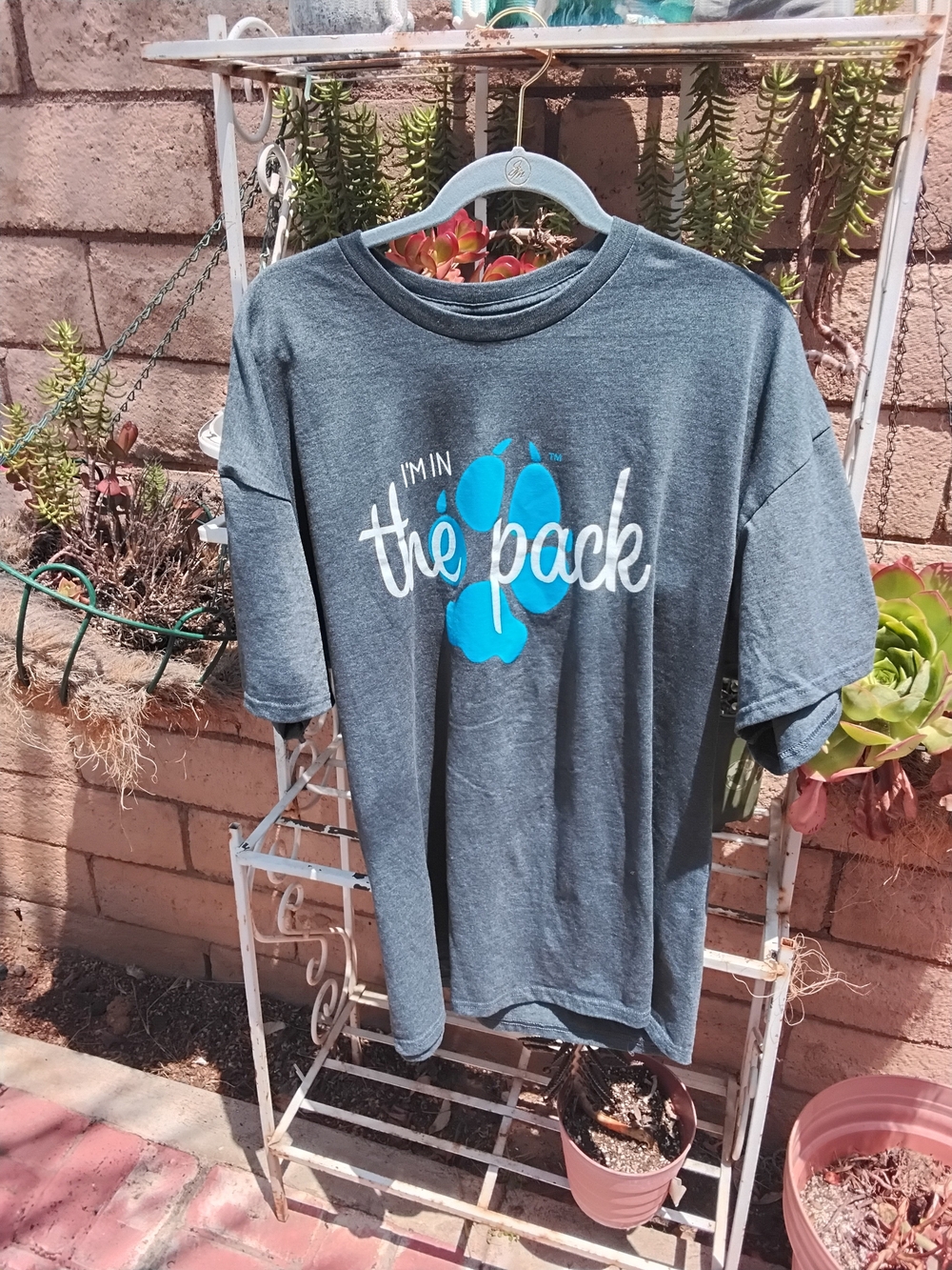 Gildan Charcoal Gray Graphic Tee with Blue Paw